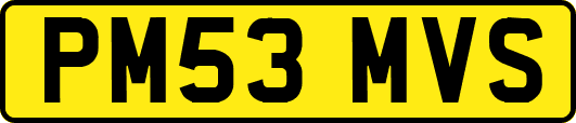 PM53MVS