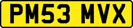 PM53MVX