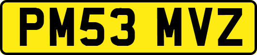 PM53MVZ