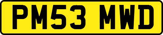 PM53MWD