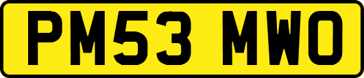 PM53MWO