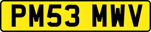 PM53MWV