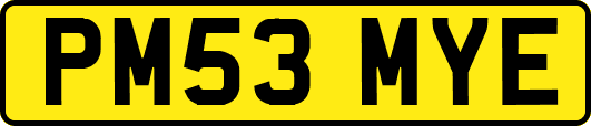 PM53MYE