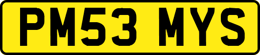 PM53MYS