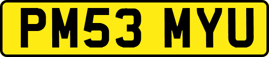 PM53MYU