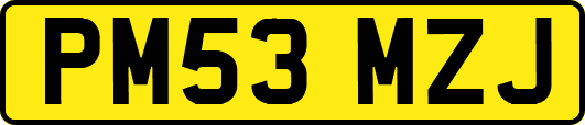 PM53MZJ