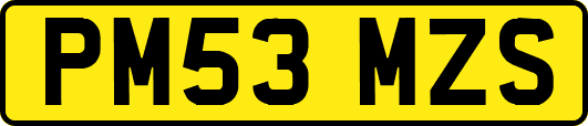 PM53MZS