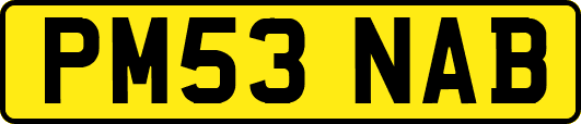 PM53NAB