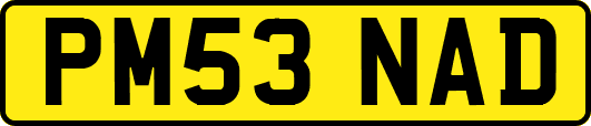 PM53NAD