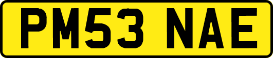 PM53NAE