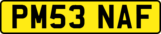 PM53NAF