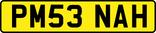 PM53NAH