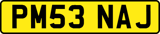 PM53NAJ