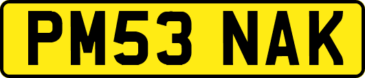 PM53NAK