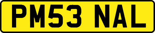 PM53NAL
