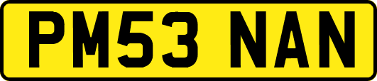 PM53NAN