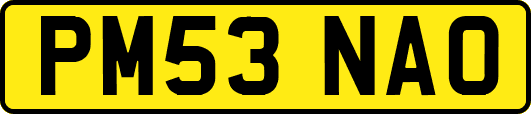 PM53NAO