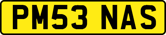 PM53NAS