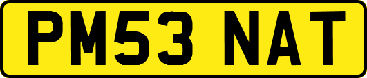 PM53NAT