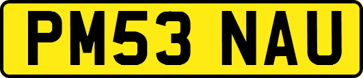 PM53NAU