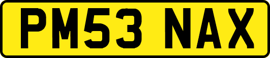 PM53NAX