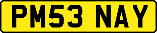 PM53NAY