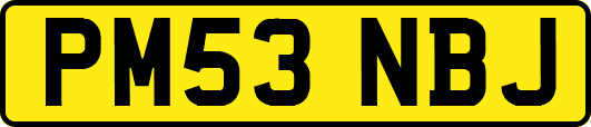 PM53NBJ