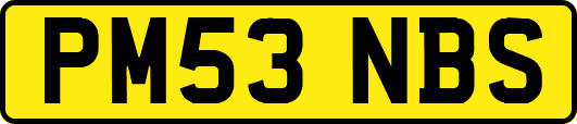 PM53NBS
