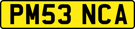 PM53NCA