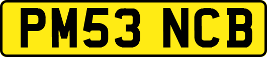 PM53NCB