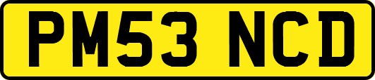 PM53NCD