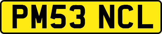 PM53NCL
