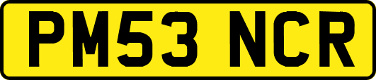 PM53NCR