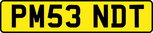PM53NDT