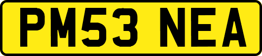 PM53NEA