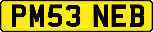 PM53NEB