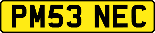 PM53NEC
