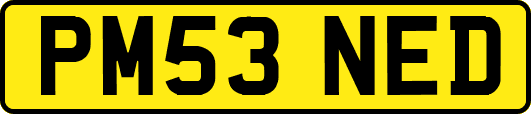 PM53NED