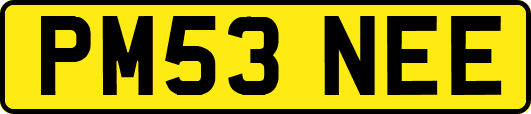 PM53NEE