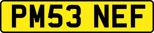 PM53NEF