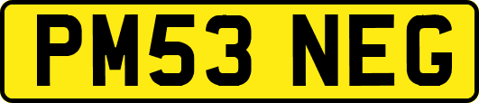 PM53NEG