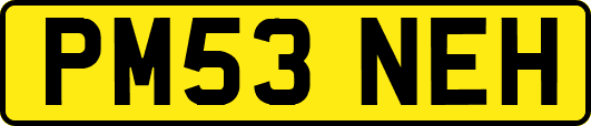 PM53NEH