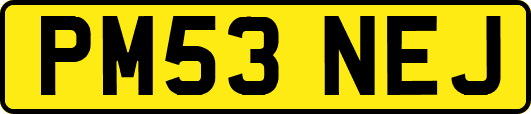 PM53NEJ
