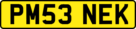 PM53NEK