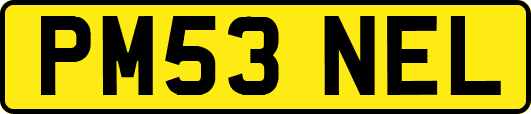 PM53NEL