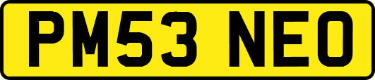 PM53NEO