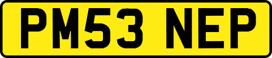PM53NEP