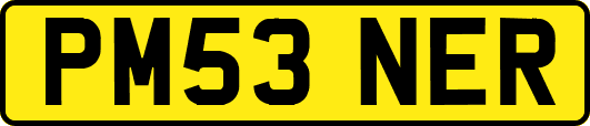 PM53NER