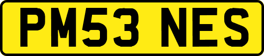 PM53NES