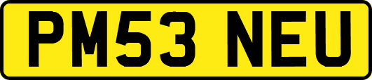 PM53NEU